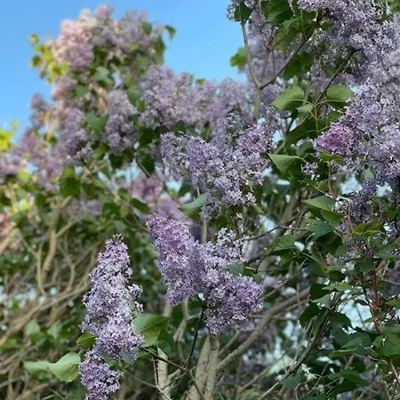 Amsel - Gemuetliches 10 Minuten Zum Апартаменты