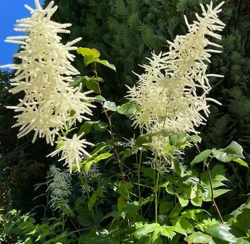 Amsel - Gemuetliches 10 Minuten Zum Apartament *